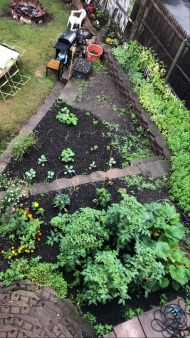 suburban backyard farming