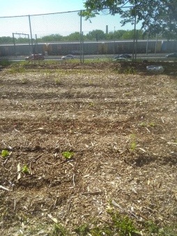 Things Are Growing Here!
