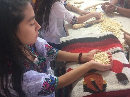 Here is a picture of us harvesting our corn to be used in community feasts, ceremonies and and seed saving projects to give out to community members free of charge.