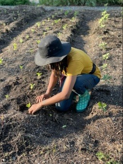Sabrina Planting Flowers in Roxbury 