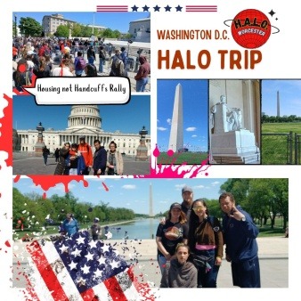 collage of photos of halo members in DC