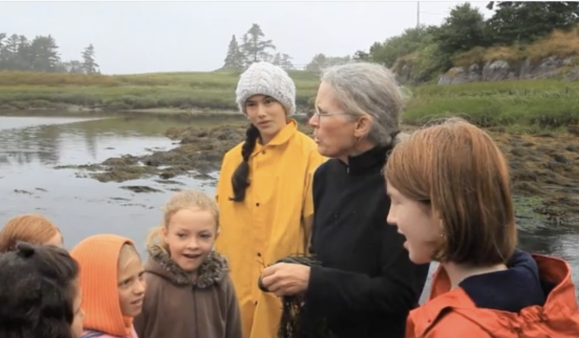 Children standing and listening to a teacher on the rocky shoreline with seaweed