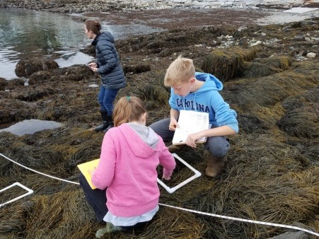 Working at Hendrick's Head looking for invasives