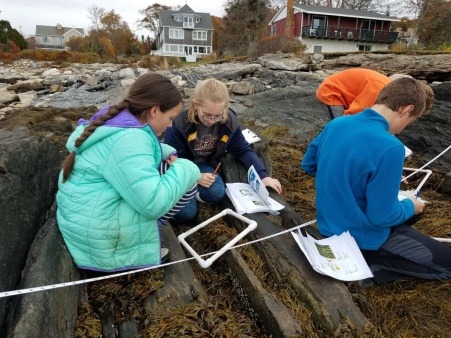 K-8 Line Transect looking for Green Crab with Manomet