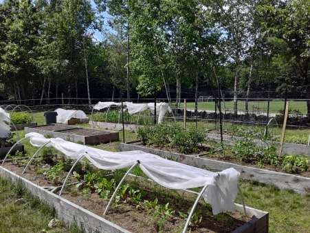 Raised Garden Beds Built by Volunteers at North Woods / Pleasant Valley Camps 