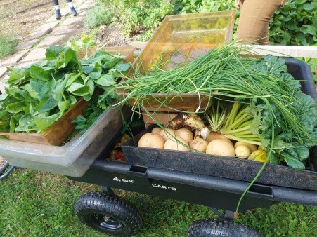 Produce heading to the pantries