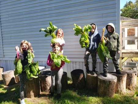 Harvest time