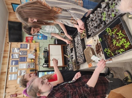 CES Youth Changemakers planting seeds in Spring of 2024 for planting at Whittier Rd.