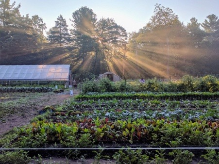 Littleton Community Farm at Dawn