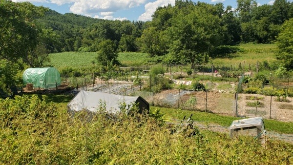 View of the Garden looking West