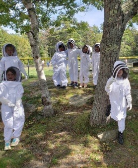 Bee minions