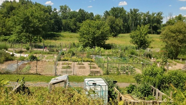 View of the Garden looking North