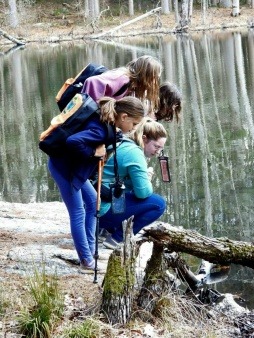Searching for pollywogs at Rock House Reservation West Brookfield MA