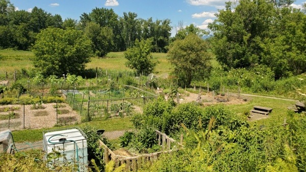 View of the Garden looking East
