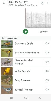 The Merlin app IDs several song birds in the Garden