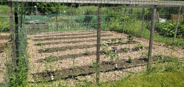 Mulched garden beds