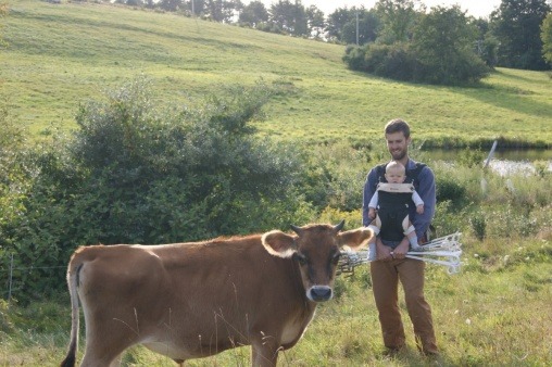 Pastured raised beef cattle on Clarkridge Farm in Goffestown N.H.