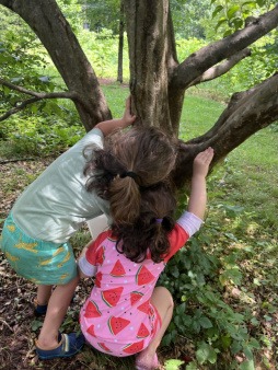 Insect observation with a friend