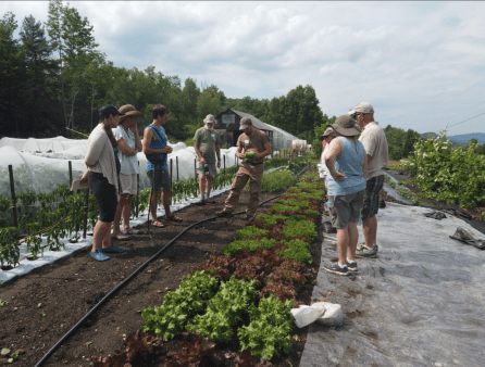 Abbotts Farm Farmer Workshop 2