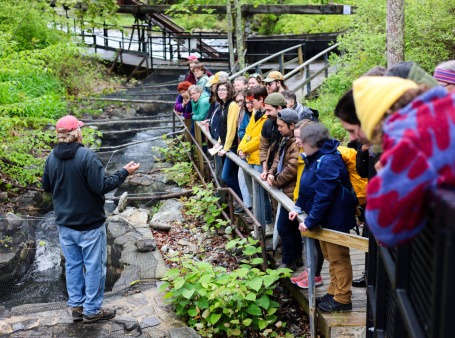 A group of 30 sum people stand against a railing looking off into a brook. A person stood on a rock in the center of the brook gestures, explaining the construction of the alewife fish ladder nearby.