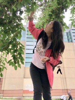 John Powell Garden: resident foraging for berries