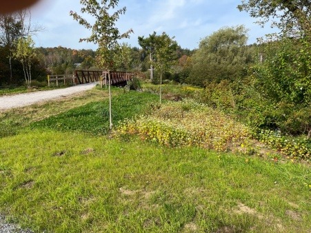 Area 2: Pollinator garden at rear of Trailhead Park