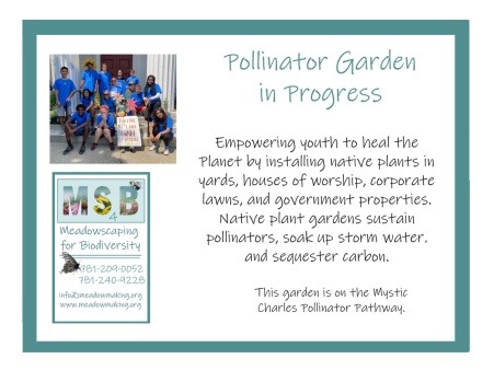 Pollinator in Progress banner