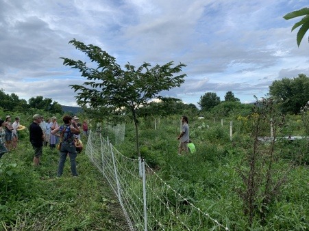 Chicken farmer Martin Anderton shows community members his integrated poultry system at agroforestry site Big River Chestnuts in Sunderland MA