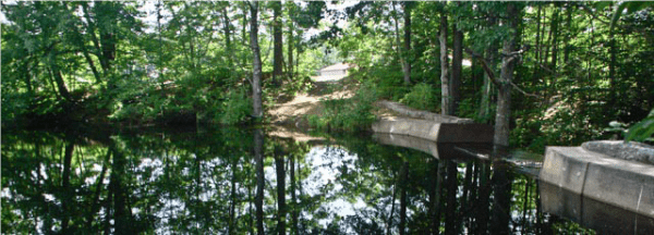 Dam at Waterhouse Brook