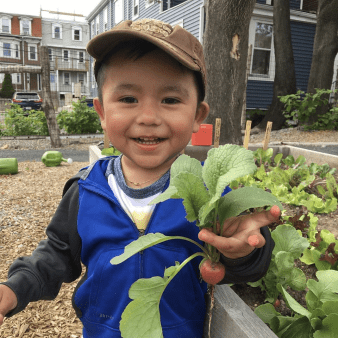 Boy holding radish in community garden