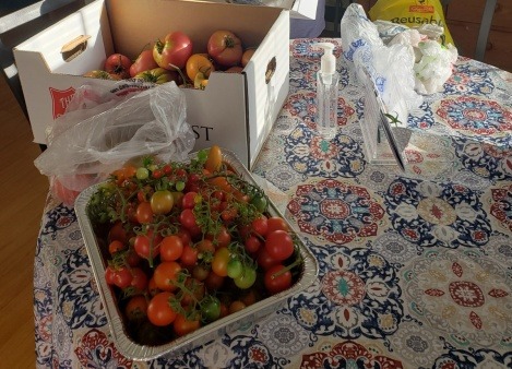 Tomatoes from WMA's community garden being divided for distribution in Davis Gardens housing complex