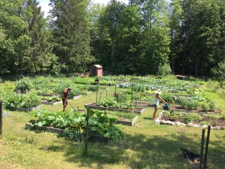 Tasker Hill Community Garden