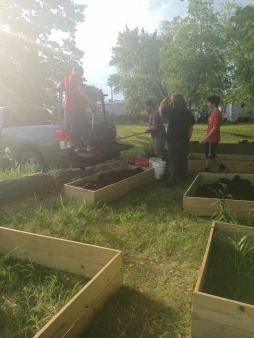 Dirt day after we finished putting the boxes together.  