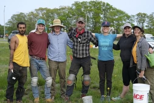 community native plant meadow habitat 