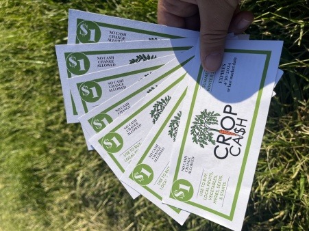 Crop Cash vouchers - a food access program