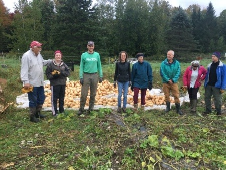 Extra Row vounteers harvest squash