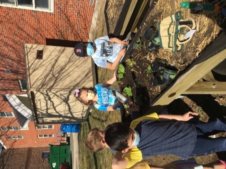 Kids working in the garden 