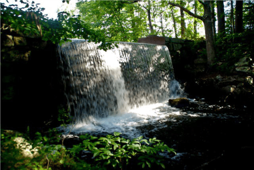 Dam at Waterhouse Brook