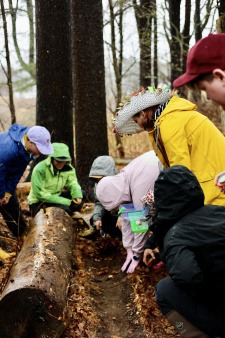 A group of people crouch down near an overturned log in the woods looking for insects. Many are dressed in bright neon rain jackets, and there is a mist in the air. One person carries a see-through container to put the bugs into for close viewing.