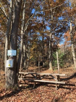 fall at Oak Glen campsite
