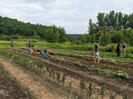 High school youth members of the Montpelier Youth Conservation Corps (MYCC) weed fields and tend to crops on the FEAST Farm