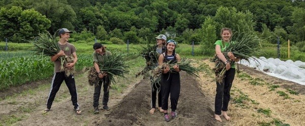 Members of the Montpelier Youth Conservation Corps (MYCC) after the garlic harvest. 