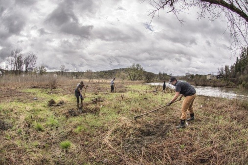 National life volunteers plant trees at the FEAST Farm site, along the Winooski River