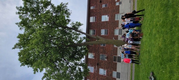 Friends of Melnea Cass Boulevard under the tree
