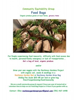 Community Equitability Group Food Bags