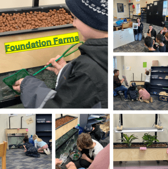 Aquaponic Farming as Boys and Girls Club - Nashua