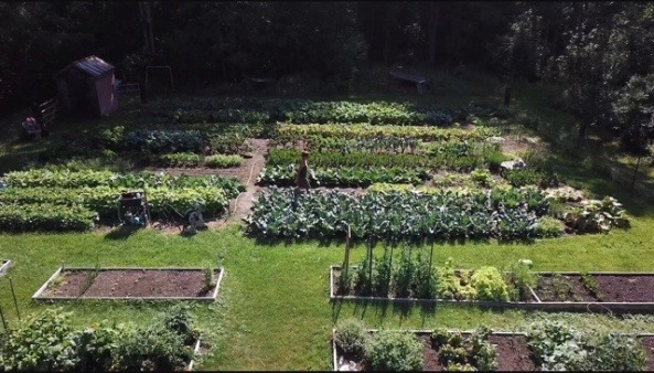 Gardn Aireal