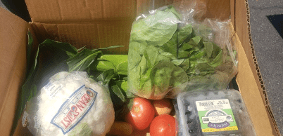 GoFresh Mobile Market 2020 Produce Box