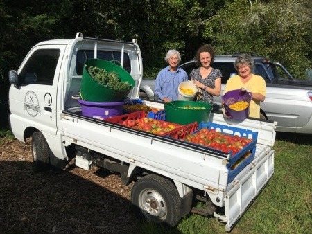Gleaning 