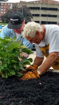 "Hortensia" Pots in Pots
